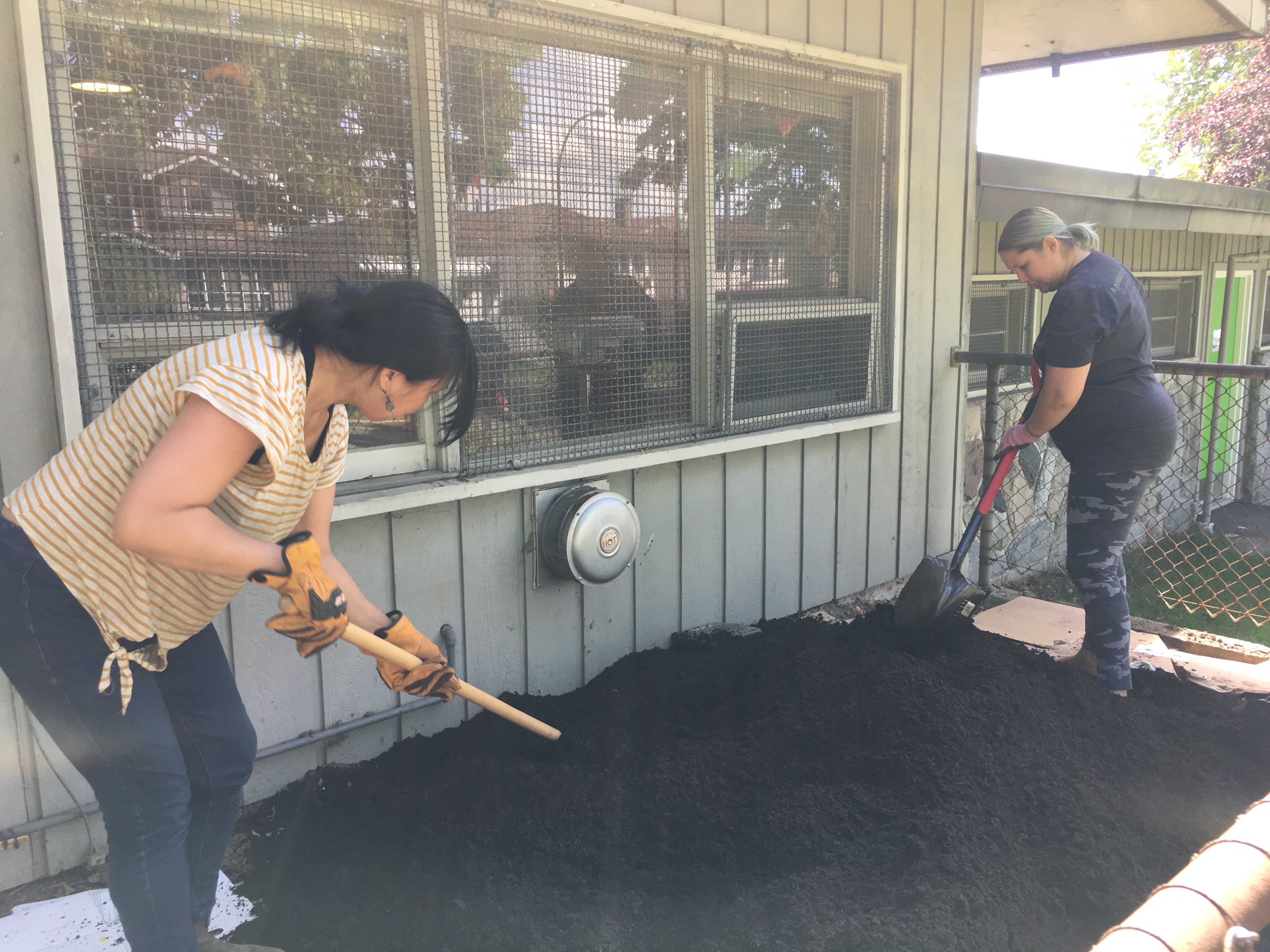 indigenous-garden-clinton-park-2