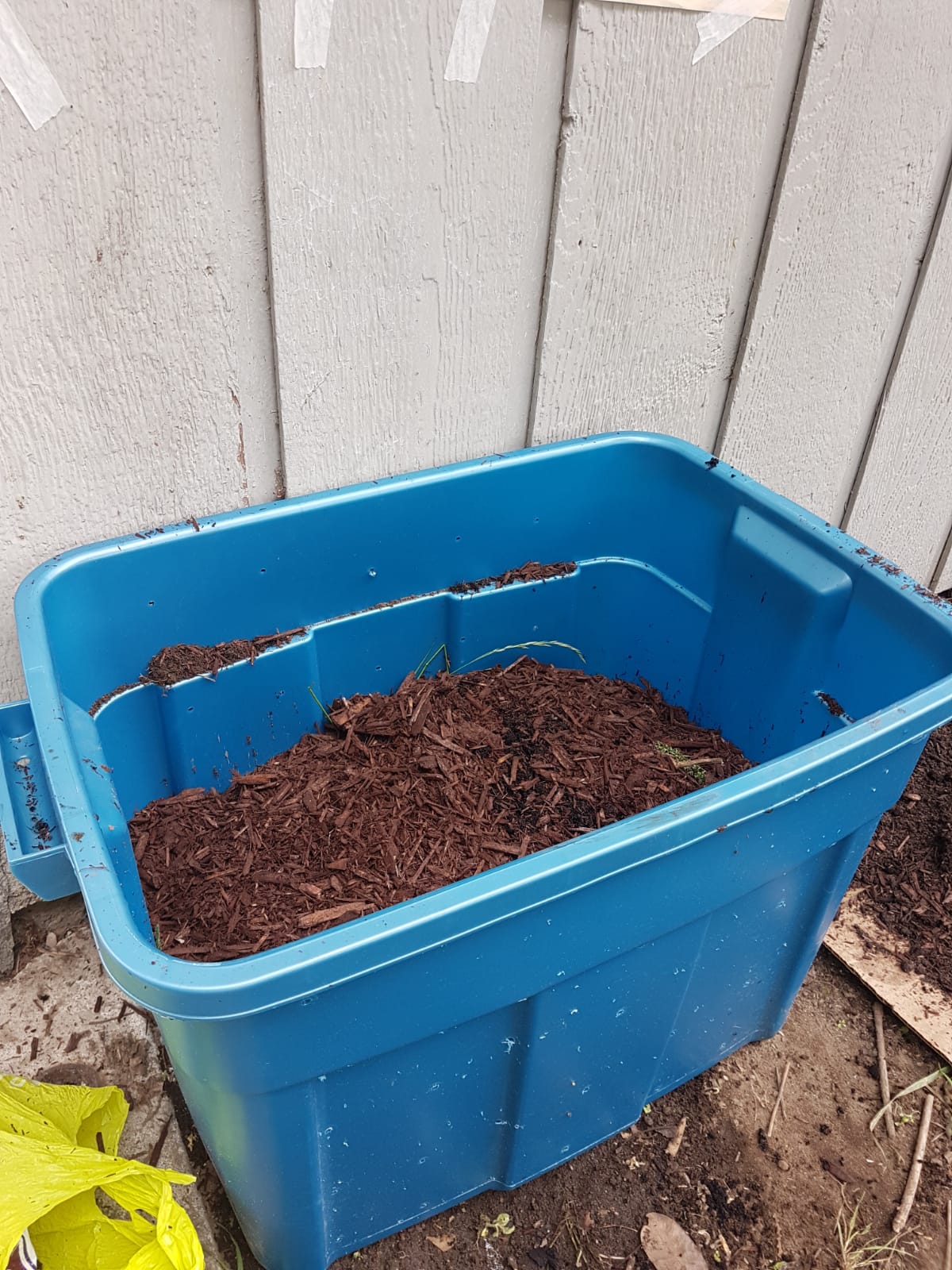 indigenous-garden-clinton-park-worm-box